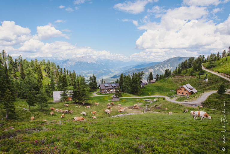 Aussicht auf der Galsterbergalm | © Lukas Bezila