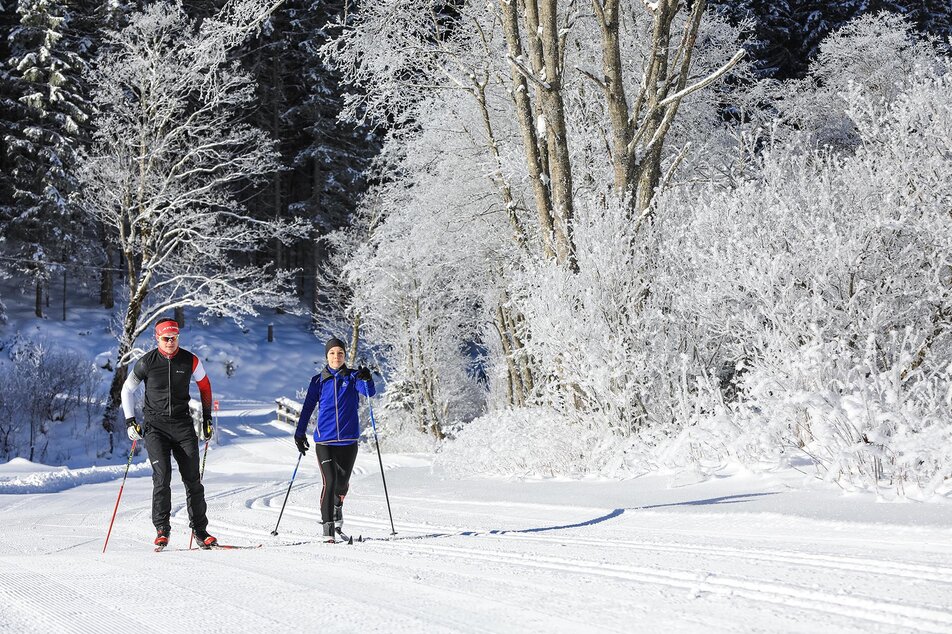 Almenrunde (Skating) und Kristallloipe (klassisch) verlaufen nebeneinander | © Gerhard Pilz/Tourismusverband Schladming - Martin Huber