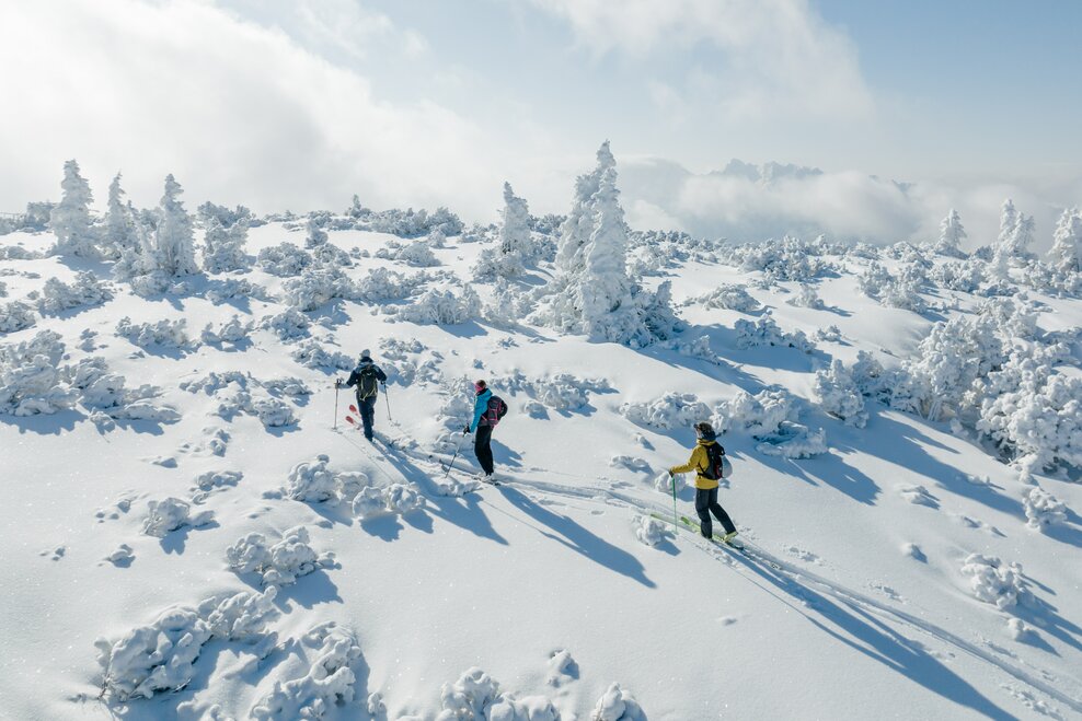 Die Bergstation Alpin & Freeride Center - Impression #1.2 | © Salzkammergut/Katrin Kerschbaumer