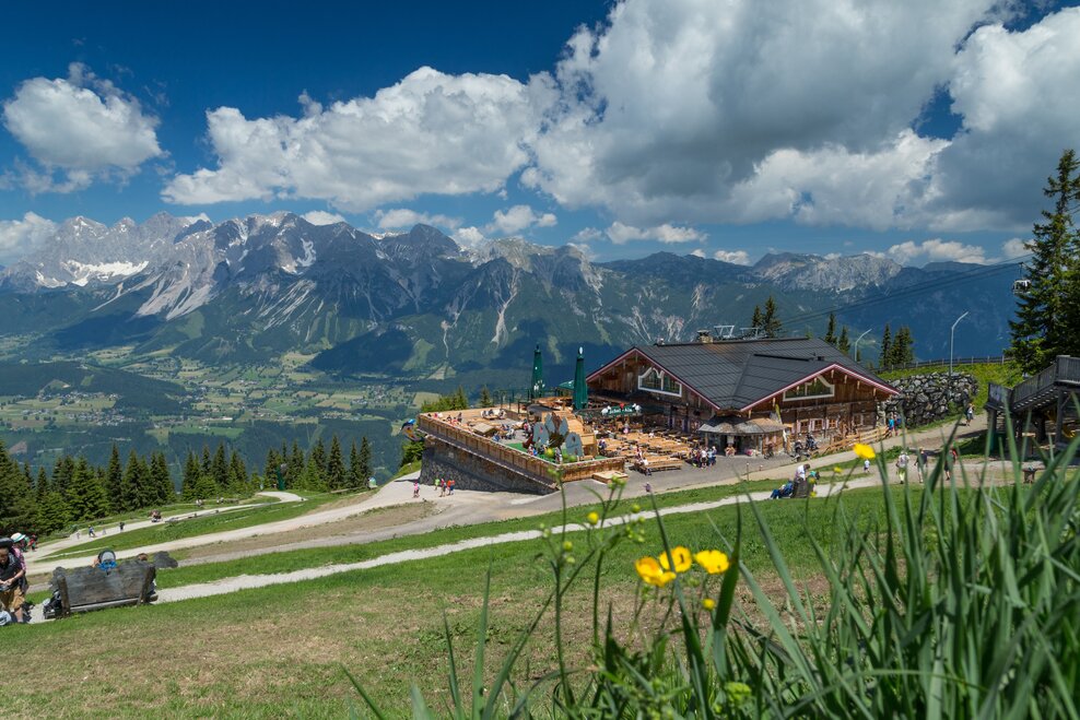 Schafalm Planai - Impression #1.1 | © Harald Steiner