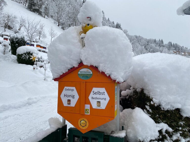 Imkermeisterbetrieb  - Impression #2.3 | © Gebirgsimkerei Schladming