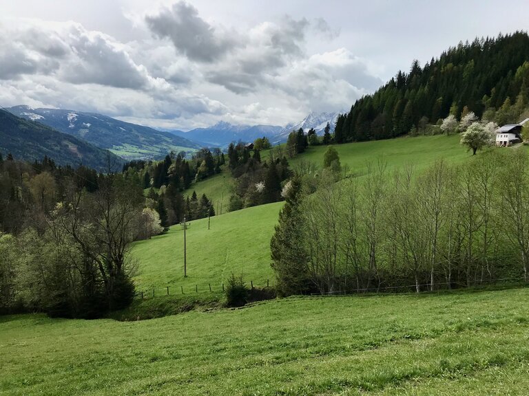 Auf dem Weg zur Stalingradkapelle | © Sabine Schulz