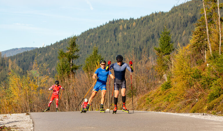 Rollerstrecke Ramsau am Dachstein - Impression #2.3