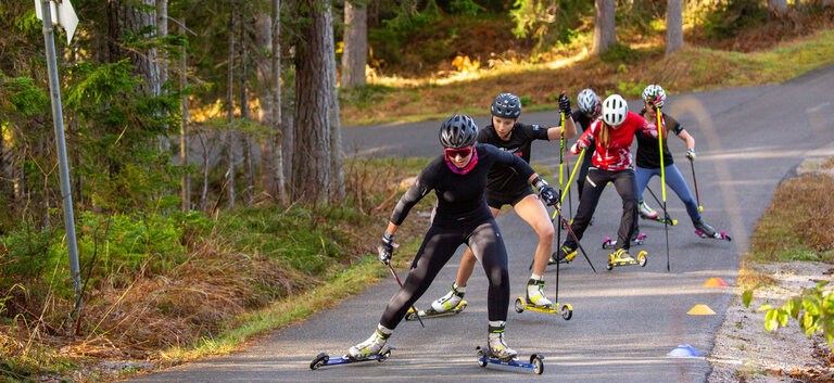 Rollerstrecke Ramsau am Dachstein - Impression #2.4