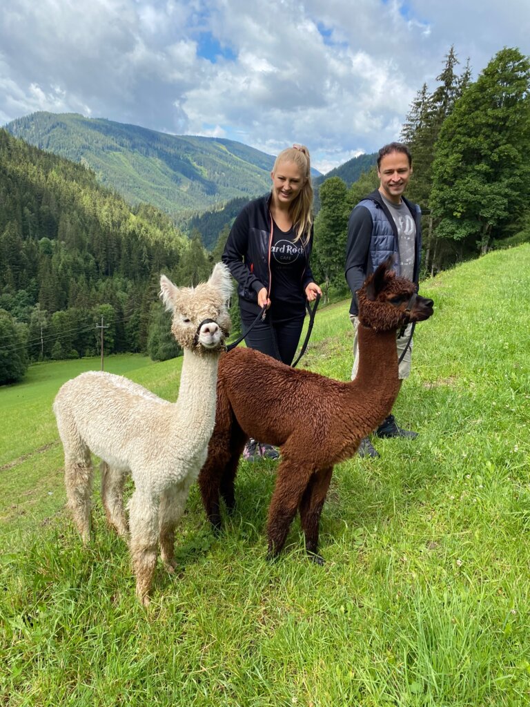 Dachstein Alpacas at Biobauernhof Grundlehner - Impression #2.1 | © Dachsteinalpakas